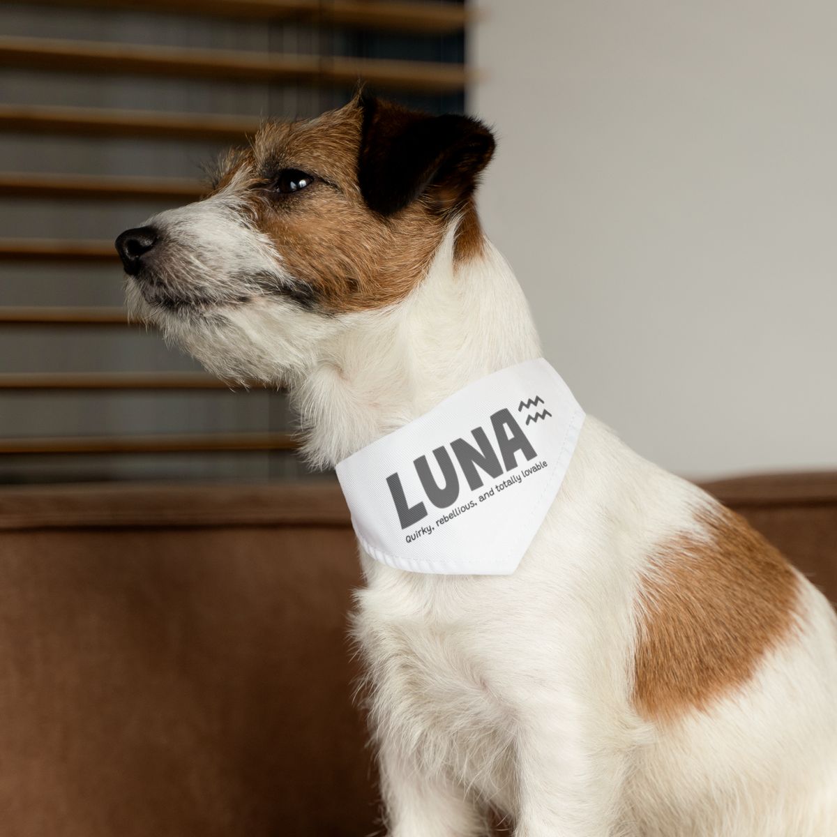 Custom Dog Collar / Personalised Pet Bandana