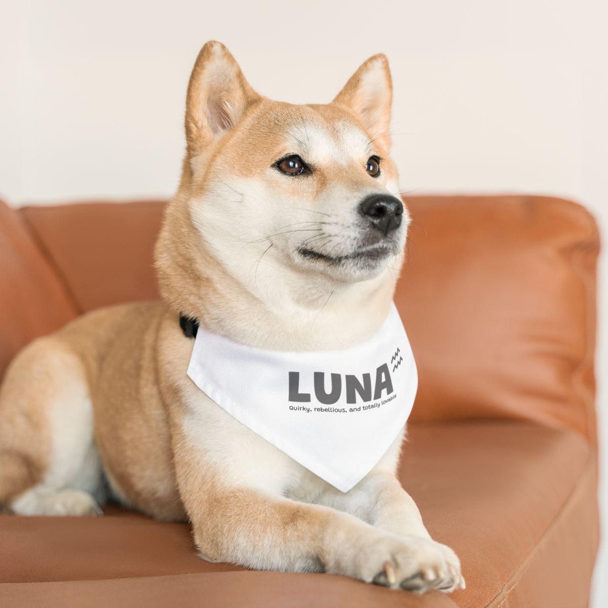 Custom Dog Collar / Personalised Pet Bandana